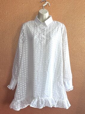 SISTER JANE WHITE SHEER ORGANZA W/FLORAL EMBROIDERY RUFFLE MINI BABYDOLL DRESS S